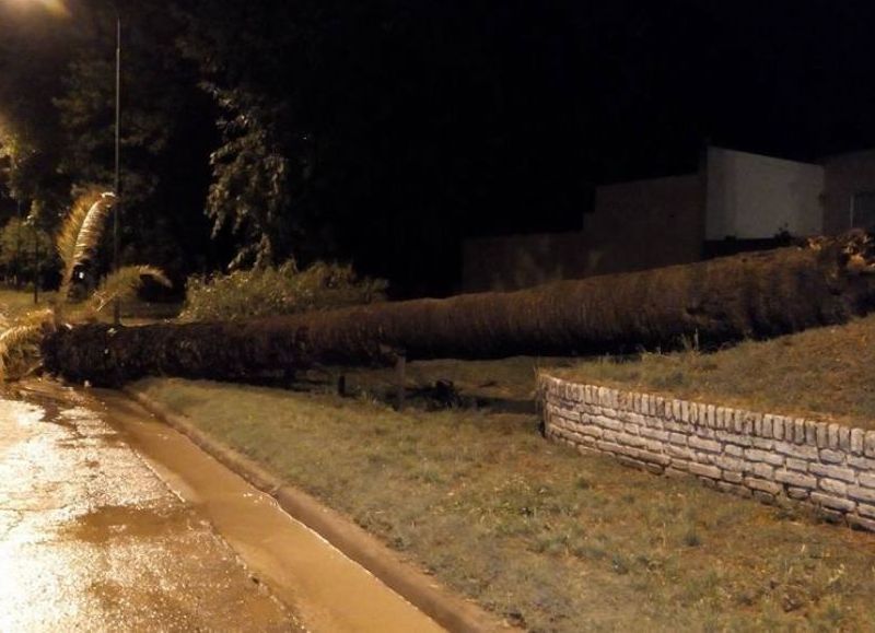 Fotos: Un Salto a la Noticia.