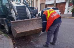 Tareas de frío en varias calles