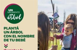 Ya llega la tercera edición del programa “Un nacimiento, un árbol”