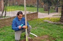 Renuevan plantas y flores para embellecer la ciudad