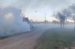 Intensifican los trabajos de fumigación