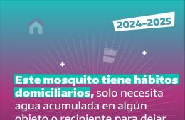 Prevención y cuidados ante el dengue