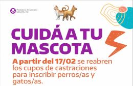 Sanidad animal: reapertura de cupos para castraciones