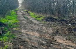 Avances en los caminos rurales